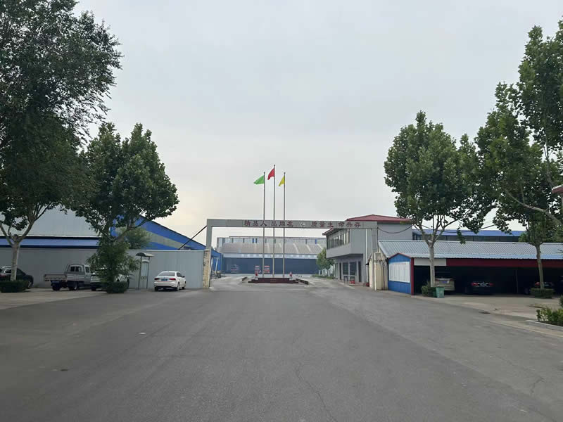 公司环境