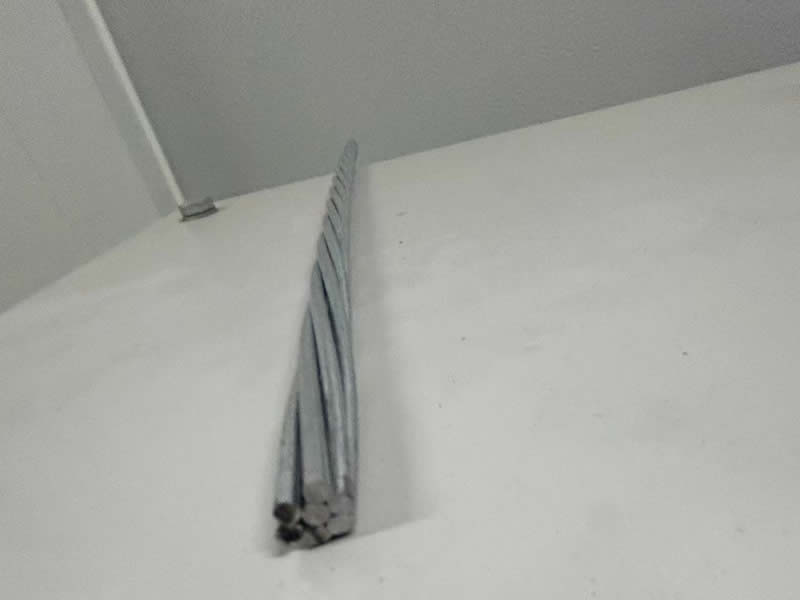 样品展示