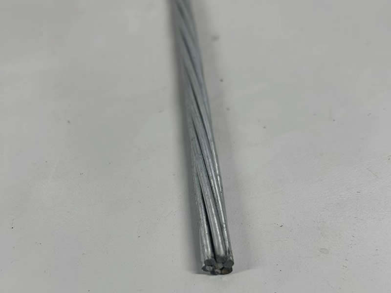 样品展示